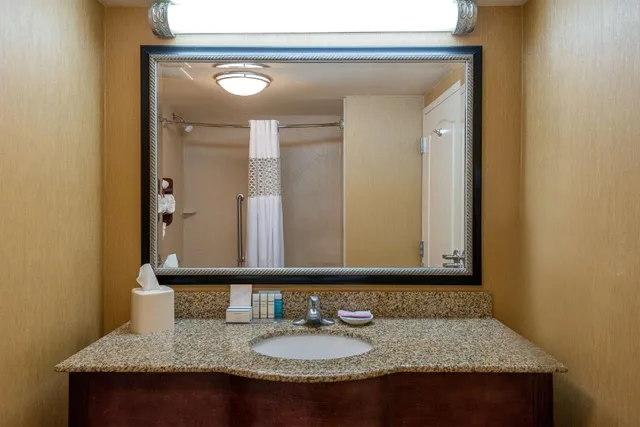 غرفة بسرير مزدوج لذوي الإعاقة، Hampton Inn And Suites Florence North I 95 Sc 2/2
