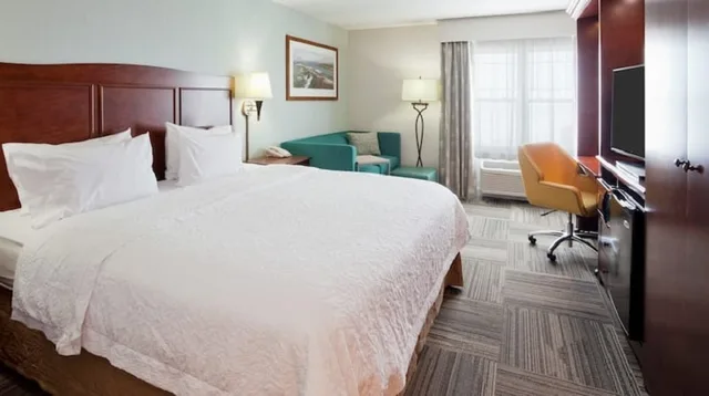 1 Bedroom, Suite, King Bed, Partial View، Hampton Inn Duluth Canal Park 1/3