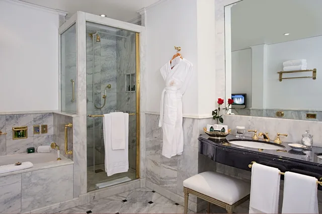 جناح بسرير كينج، Alvear Palace Hotel 3/3