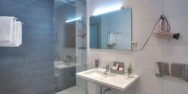 غرفة قياسية بسرير مزدوج، ACHAT Hotel Frankfurt Maintal 5/6