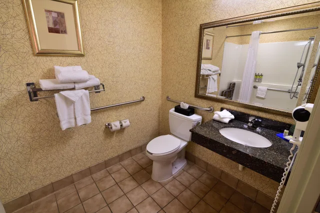 غرفة قياسية بسرير فردي، Holiday Inn Express Hotel And Suites Idaho Falls 3/4