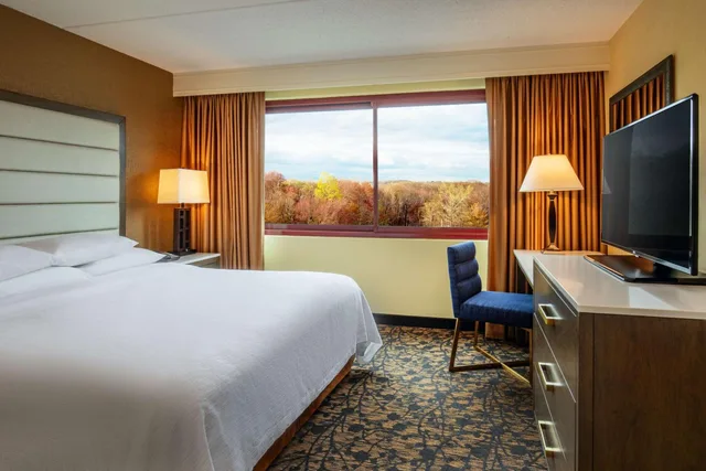 جناح بسرير كينج بغرفتين مع أريكة، Embassy Suites by Hilton Boston Waltham 1/3