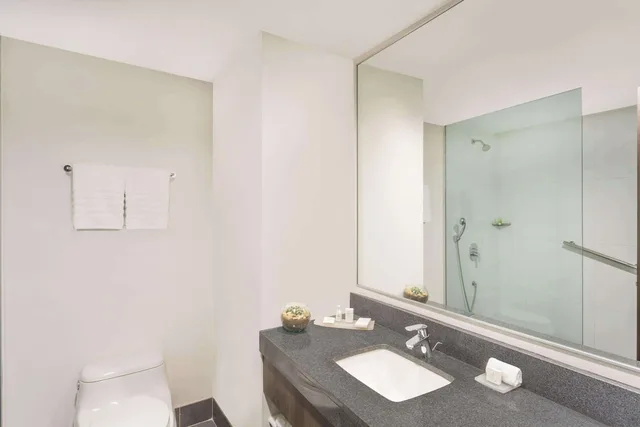 غرفة بزنس بسرير كينج بإطلالة على المدينة، Wyndham Guayaquil Puerto Santa Ana 8/8