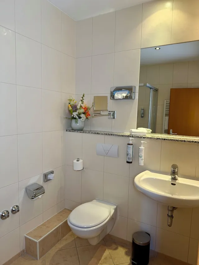 غرفة سوبيريور بسرير مزدوج بإطلالة على النهر، Hotel Am Rhein Wesseling 5/7