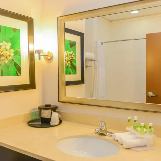 Standard, 2 Queen Beds, Bathtub, Accessible, Holiday Inn Express Suites Cuero 4/4