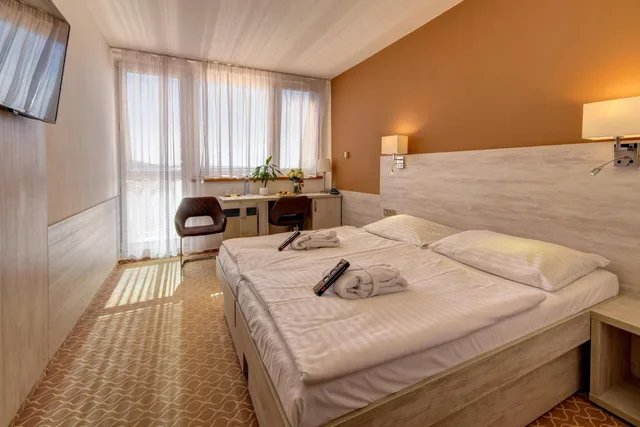 غرفة بسرير مزدوج، Hotel Vega Luhacovice 2/6