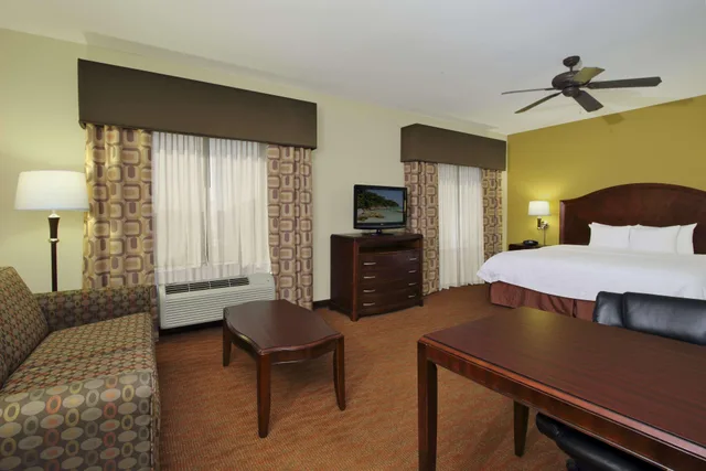 استوديو بسرير كينج، Hampton Inn Suites Conroe I 45 North 1/2