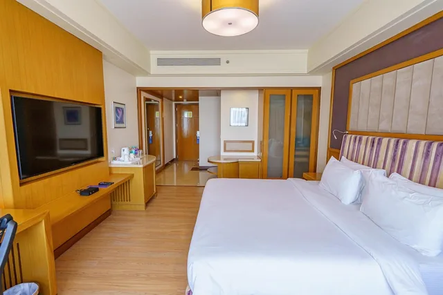 غرفة سوبيريور بسرير كينج، Radisson Blu Hotel Indore 3/10