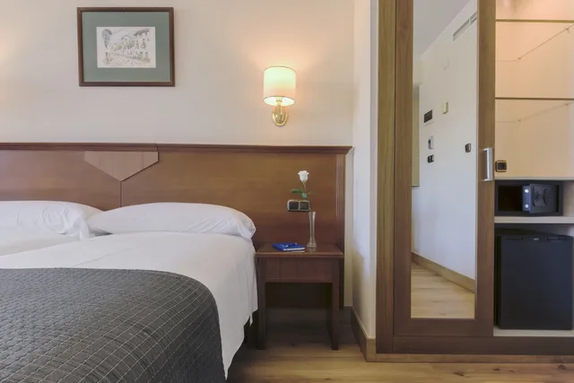 غرفة قياسية بسريرين منفصلين، Alixares Hotel 3/10