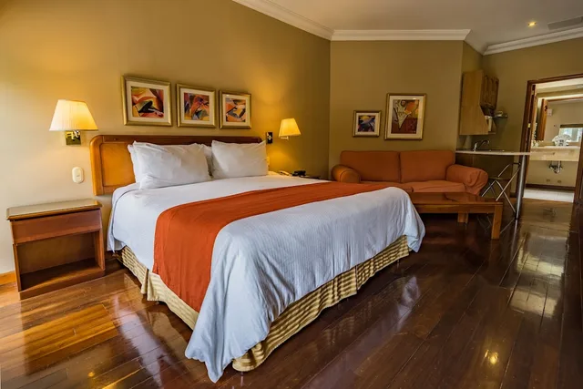 جناح ديلوكس بسرير كينج، HOTEL SAN CARLOS 1/10