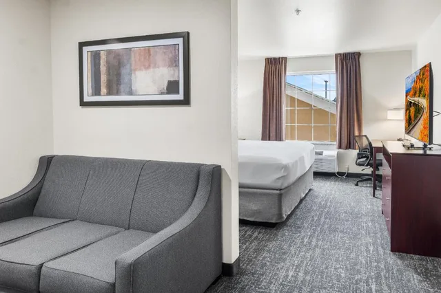 استوديو مفردة بسرير كينج، Cobblestone Hotel & Suites - Denmark 3/4