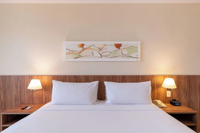 غرفة قياسية بسرير كينج لذوي الإعاقة، Holiday Inn Manaus 2/10