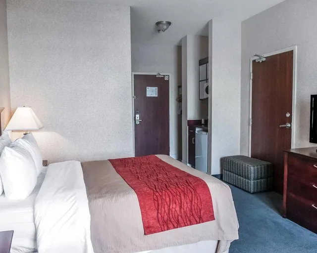 Upgrade, Efficiency, King Bed, Comfort Inn Mississauga 4/6