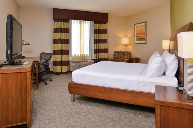 غرفة ديلوكس بسرير كينج لذوي الإعاقة، Hilton Garden Inn Boise Spectrum 1/5