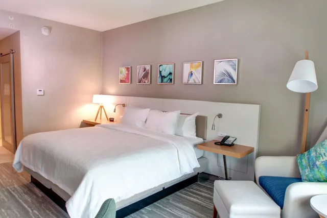 غرفة بسرير كينج، Hilton Garden Inn Tampa-Wesley Chapel 2/3