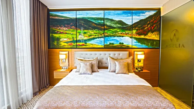 غرفة ديلوكس بسرير مزدوج بإطلالة على المدينة، Aselia Hotel Trabzon 1/5