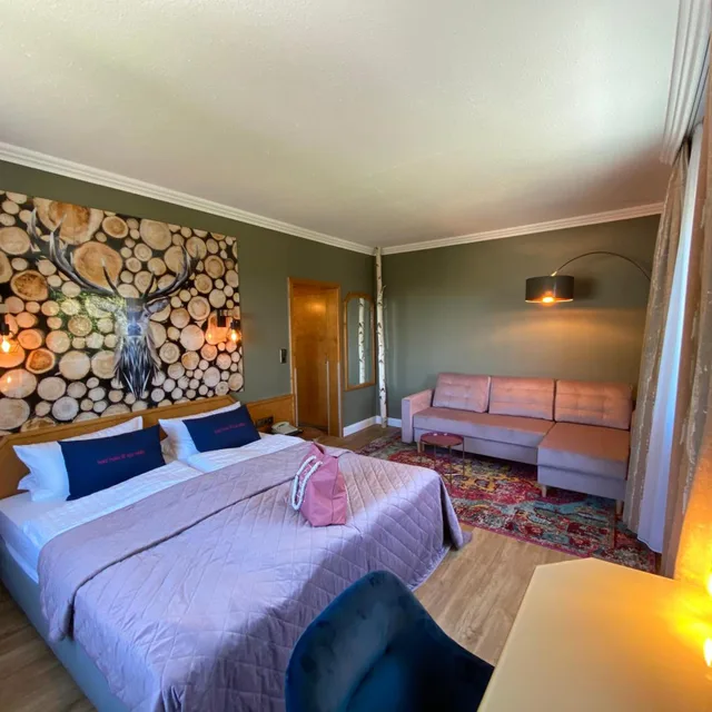 Harz Comfort, Superior, Double Bed, Harz Hotel & Spa Seela 3/6