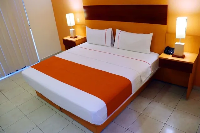 غرفة قياسية بسرير كينج، Hotel Real Zapopan 1/3