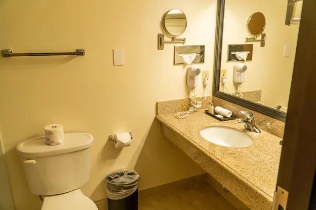 غرفة تنفيذية بسرير كينج، Hotel Piccadilly 3/3