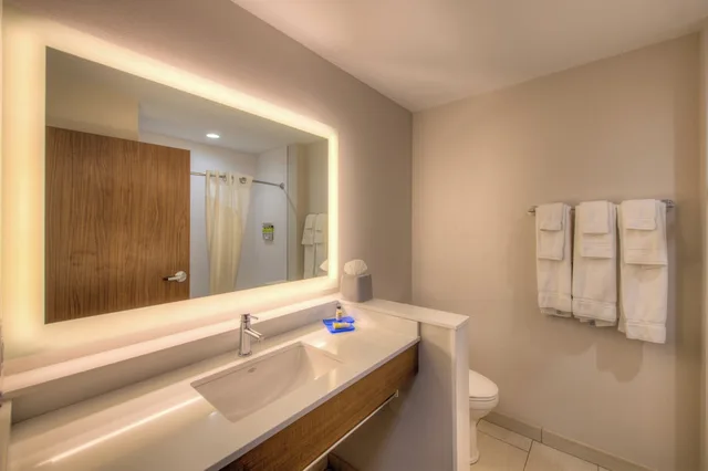 جناح بسرير كينج مع أريكة لذوي الإعاقة، Holiday Inn Express & Suites Remington 4/4