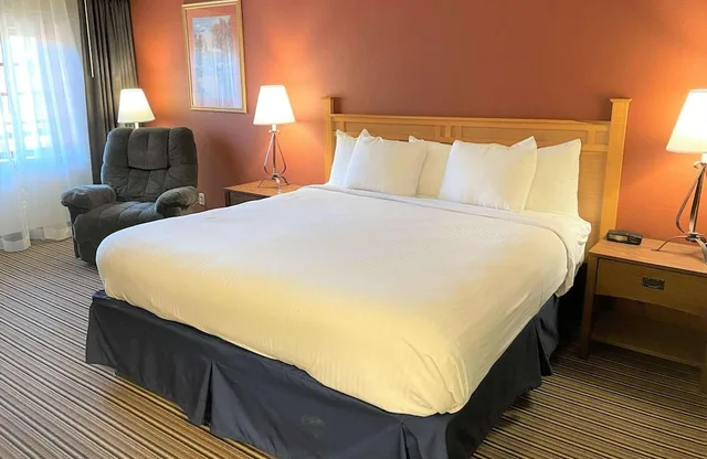 Standard, Single, King Bed, Crossroads Hotel & Event Center 1/10