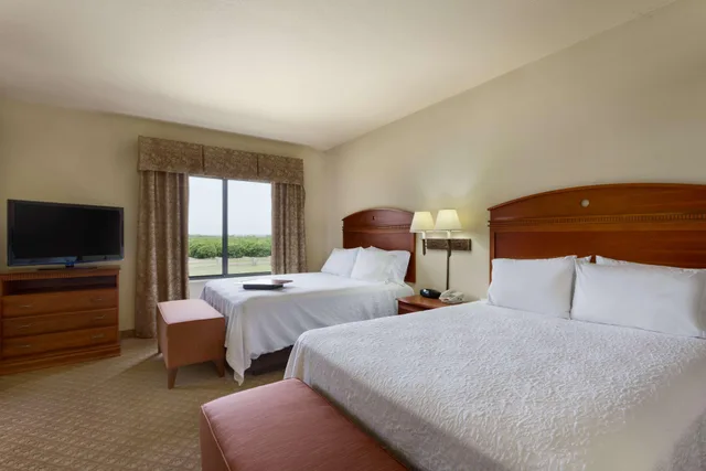 استوديو بسريرين كوين، Hampton Inn & Suites Pharr, TX 1/1