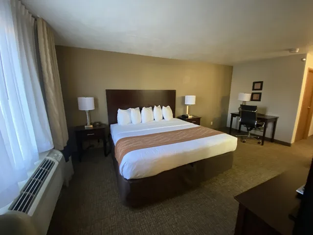 غرفة قياسية بسرير كينج، Comfort Inn and Suites Gunnison-Crested Butte 7/10