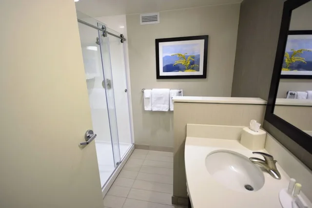 غرفة مفردة بسرير كينج مع أريكة، Courtyard by Marriott Asheville Airport 4/5