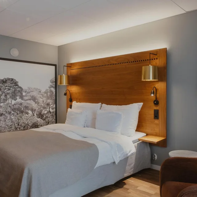 غرفة سوبيريور بسرير مزدوج، Home Hotel Temperance 4/10
