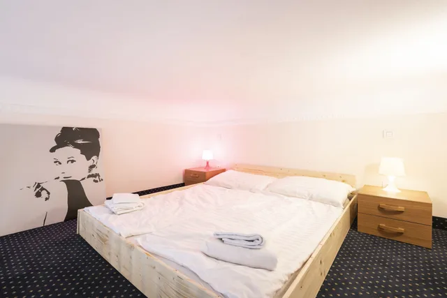 شقة تقليدية بسرير بطابقين بغرفتي نوم مع أريكة بمطبخ، Hybernska Apartments 5/10