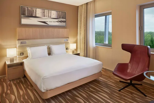 غرفة قياسية، Hilton Frankfurt Airport 1/1