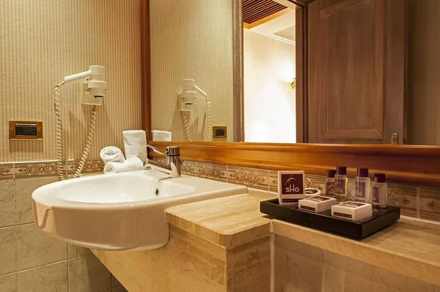 غرفة ديلوكس بسرير مزدوج، Shg Hotel De La Ville Vicenza 8/9