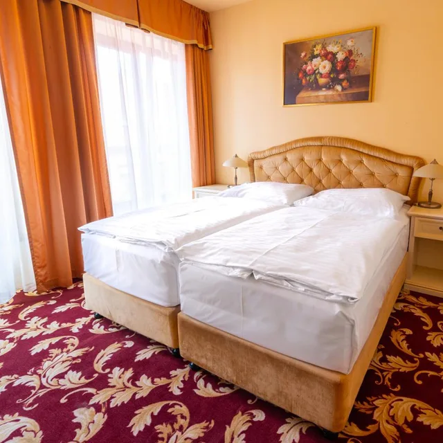غرفة كلاسيكية مفردة، SPA HOTEL VITA 1/9