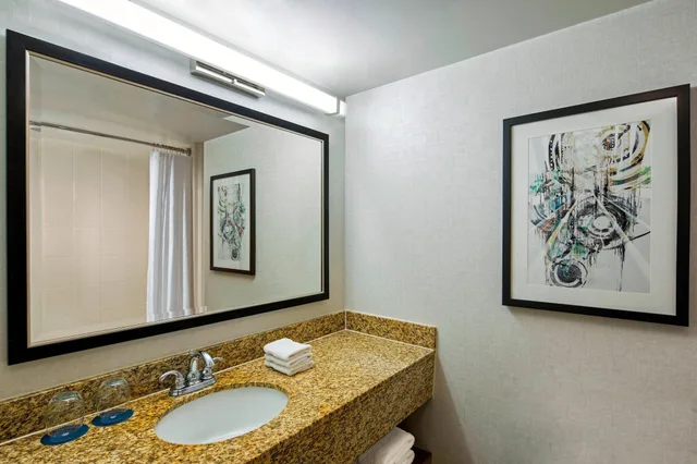 جناح بسرير كينج بغرفة نوم واحدة مع أريكة، Sheraton West Des Moines Hotel 7/8