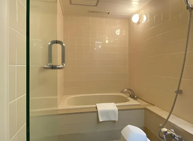 غرفة فاخرة مفردة، Hakone Sengokuhara Prince Hotel 2/2