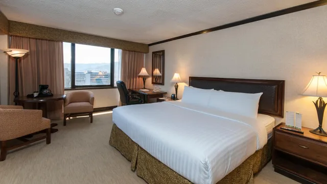 Executive, Double Bed, City View, Delta Hotels by Marriott San Jose Aurola 2/7