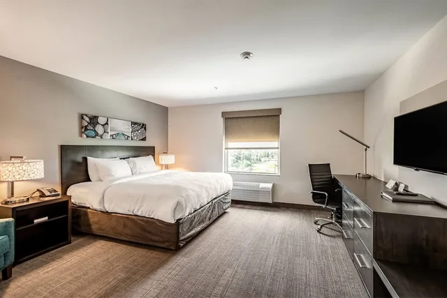 Efficiency, King Bed، Caretta Landing Sarasota, an Ascend Collection Hotel 1/2