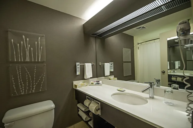 استوديو بسرير كوين مع أريكة، CAMBRIDGE SUITES HALIFAX HOTEL 6/6