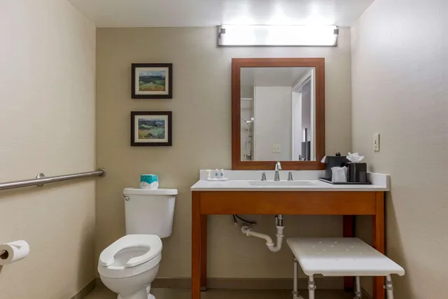 غرفة بسرير كينج لذوي الإعاقة، Comfort Inn University Durham Chapel Hill Formerly Comfort Inn University 5/6