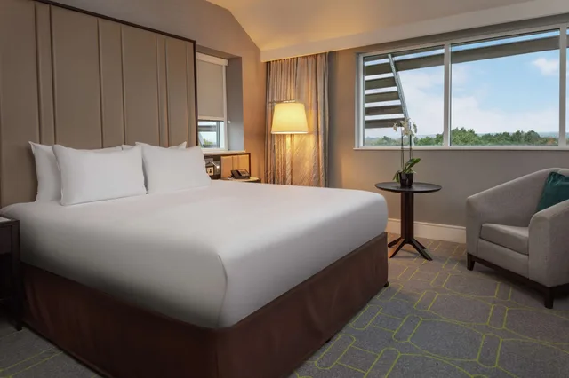 Presidential, Suite, King Bed, Hilton Southampton - Utilita Bowl 3/10