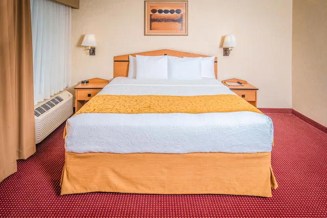 Deluxe, Suite, King Bed, Americinn By Wyndham Denver Airport 1/4