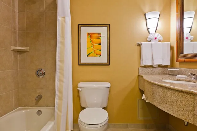 جناح بسرير كينج لذوي الإعاقة، Hilton Garden Inn At Pga Village Port St Lucie 3/4