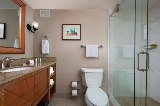 Room, King Bed, Gulf View, Balcony, High Floor، DoubleTree Beach Resort by Hilton Tampa Bay - North Redington Beach 8/9