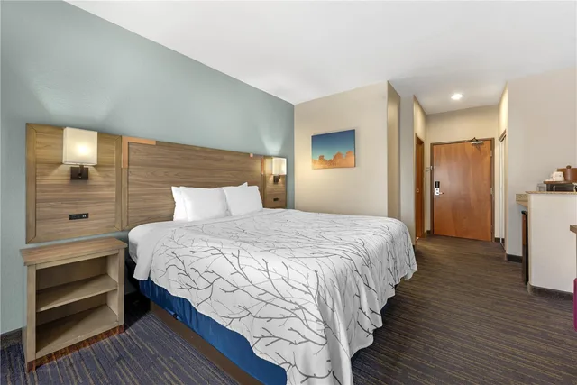 Room, King Bed, Best Western Plus San Antonio East Inn and Suites 2/4
