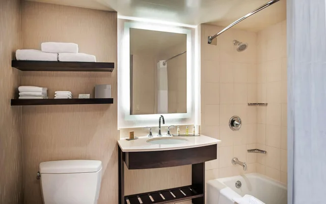Room, King Bed, French Balcony, High Floor، Doubletree By Hilton Hotel San Diego - Mission Valley 3/3