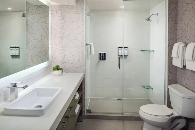 1 Bedroom, Suite, King Bed, Sofa, Kitchenette, Hyatt Washington DC / Convention Center 3/5