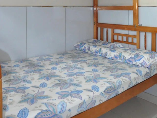 Semi Room, Semi Double Bed, Shared Bathroom، Dragon Hostel 2/2