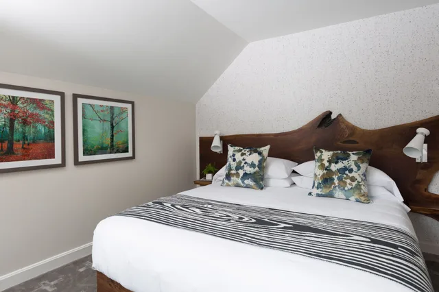 Lodge, King Bed، Field Guide Lodge 4/6