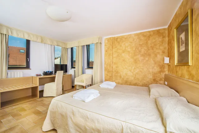 جناح بسرير كينج، Hotel Roma Prague 1/8