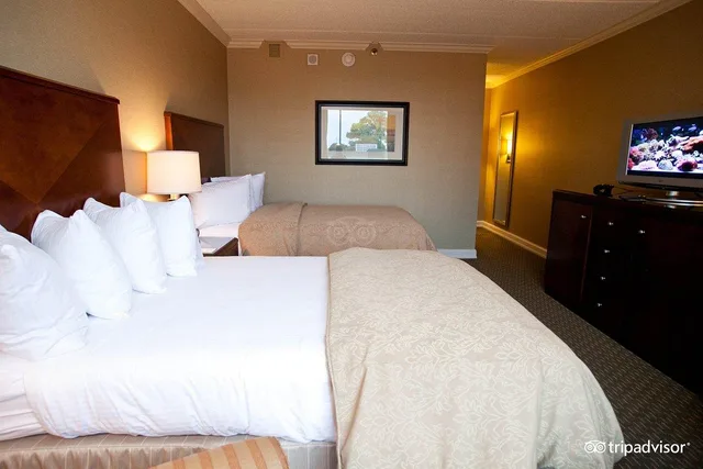 غرفة قياسية بسرير مزدوج، Hyatt Regency Houston West 1/1